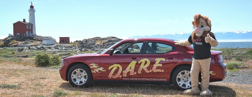 lion and dare car11